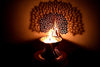 Illuminate spaces. Create lasting memories. 925 Silver Tree of Life Shadow Lamp